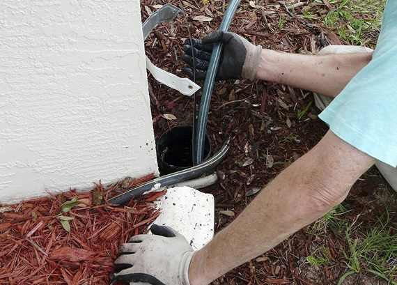 Wet and Dry Vacuum